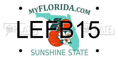 LEFB15 Florida License Plate