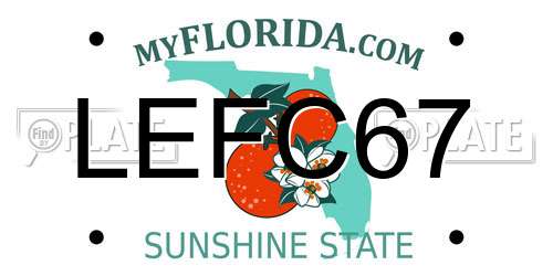LEFC67 Florida License Plate