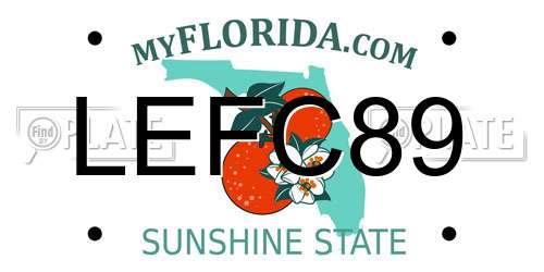 LEFC89 Florida License Plate