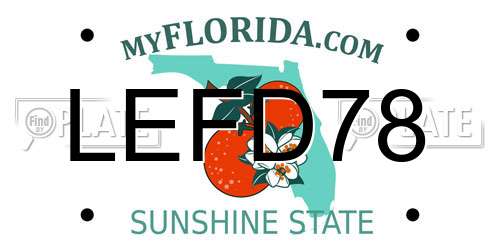 LEFD78 Florida License Plate