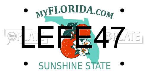 LEFE47 Florida License Plate
