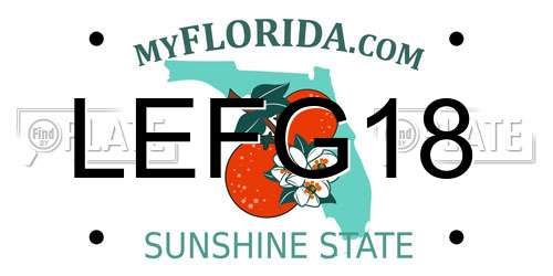 LEFG18 Florida License Plate