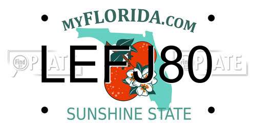 LEFJ80 Florida License Plate