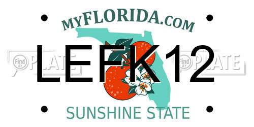 LEFK12 Florida License Plate