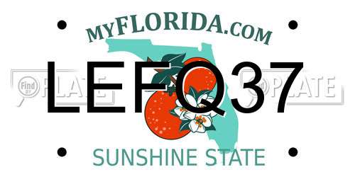LEFQ37 Florida License Plate
