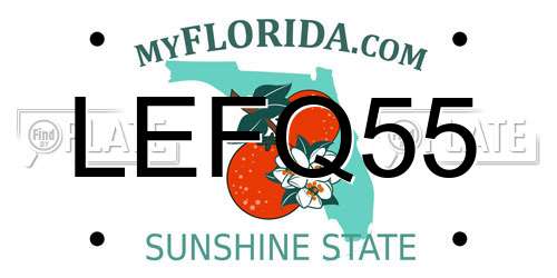 LEFQ55 Florida License Plate