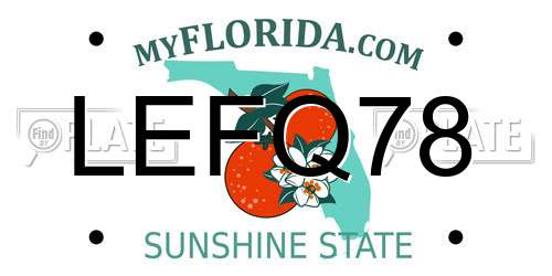 LEFQ78 Florida License Plate