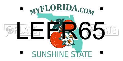 LEFR65 Florida License Plate