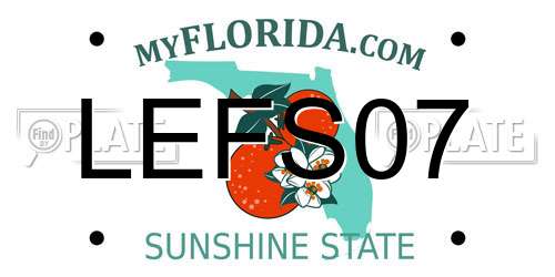 LEFS07 Florida License Plate
