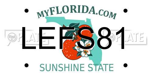 LEFS81 Florida License Plate