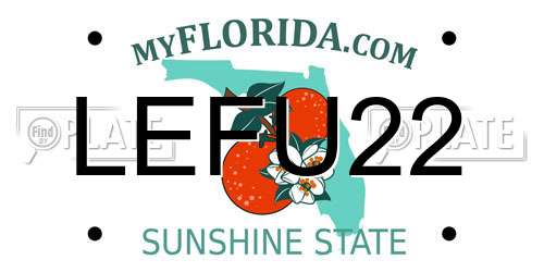 LEFU22 Florida License Plate