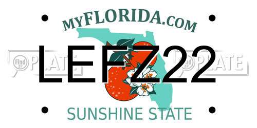 LEFZ22 Florida License Plate