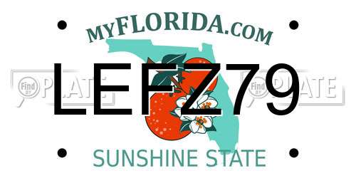 LEFZ79 Florida License Plate