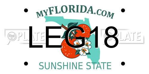 LEG18 Florida License Plate