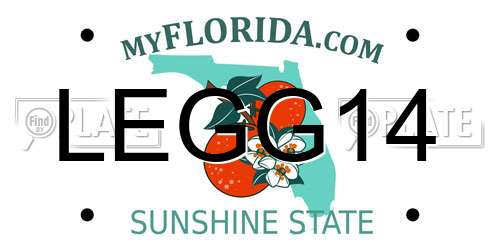 LEGG14 Florida License Plate