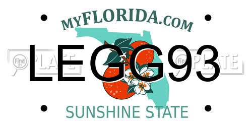 LEGG93 Florida License Plate