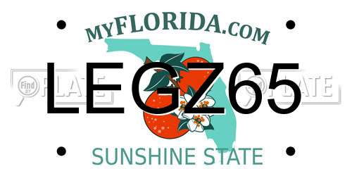 LEGZ65 Florida License Plate