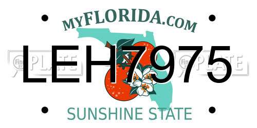 LEH7975 Florida License Plate