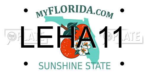 LEHA11 Florida License Plate