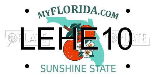 LEHE10 Florida License Plate