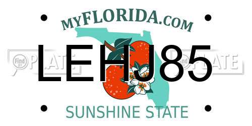 LEHJ85 Florida License Plate