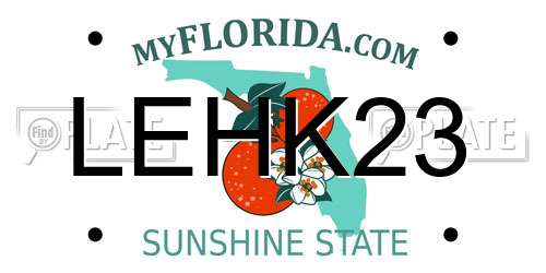 LEHK23 Florida License Plate