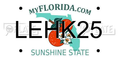 LEHK25 Florida License Plate