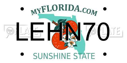 LEHN70 Florida License Plate