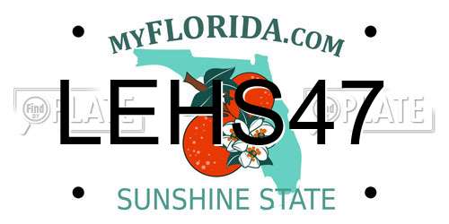 LEHS47 Florida License Plate