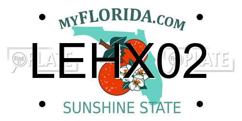 LEHX02 Florida License Plate