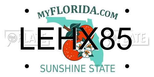 LEHX85 Florida License Plate