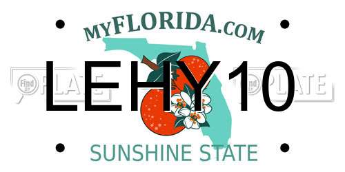 LEHY10 Florida License Plate
