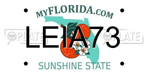 LEIA73 Florida License Plate