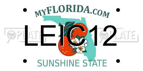 LEIC12 Florida License Plate