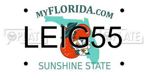 LEIG55 Florida License Plate