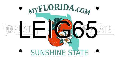 LEIG65 Florida License Plate
