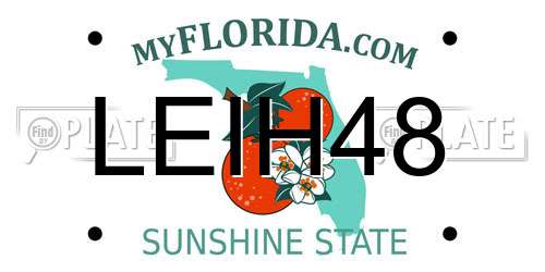 LEIH48 Florida License Plate