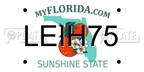 LEIH75 Florida License Plate
