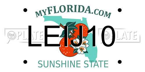 LEIJ10 Florida License Plate