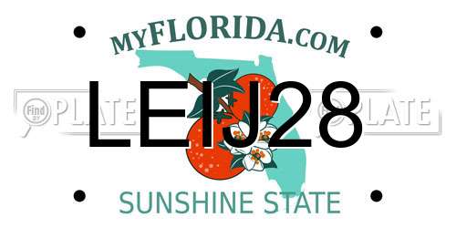 LEIJ28 Florida License Plate