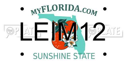 LEIM12 Florida License Plate