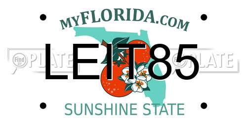 LEIT85 Florida License Plate