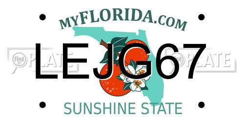 LEJG67 Florida License Plate