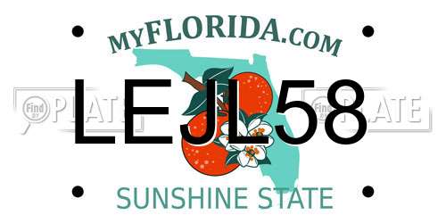 LEJL58 Florida License Plate
