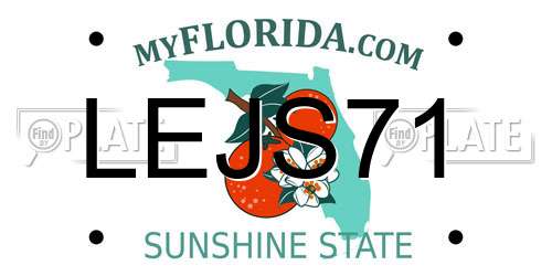LEJS71 Florida License Plate