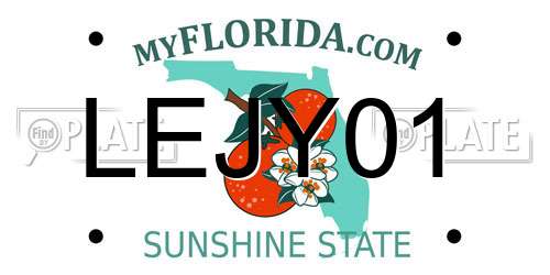 LEJY01 Florida License Plate