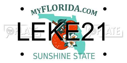 LEKE21 Florida License Plate
