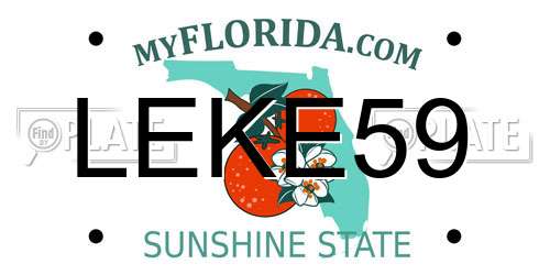 LEKE59 Florida License Plate