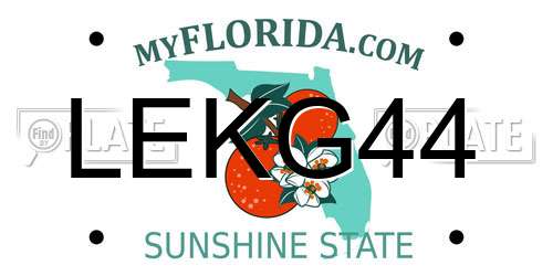 LEKG44 Florida License Plate