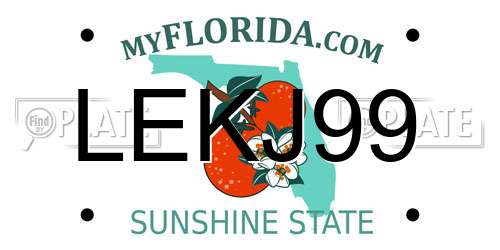 LEKJ99 Florida License Plate